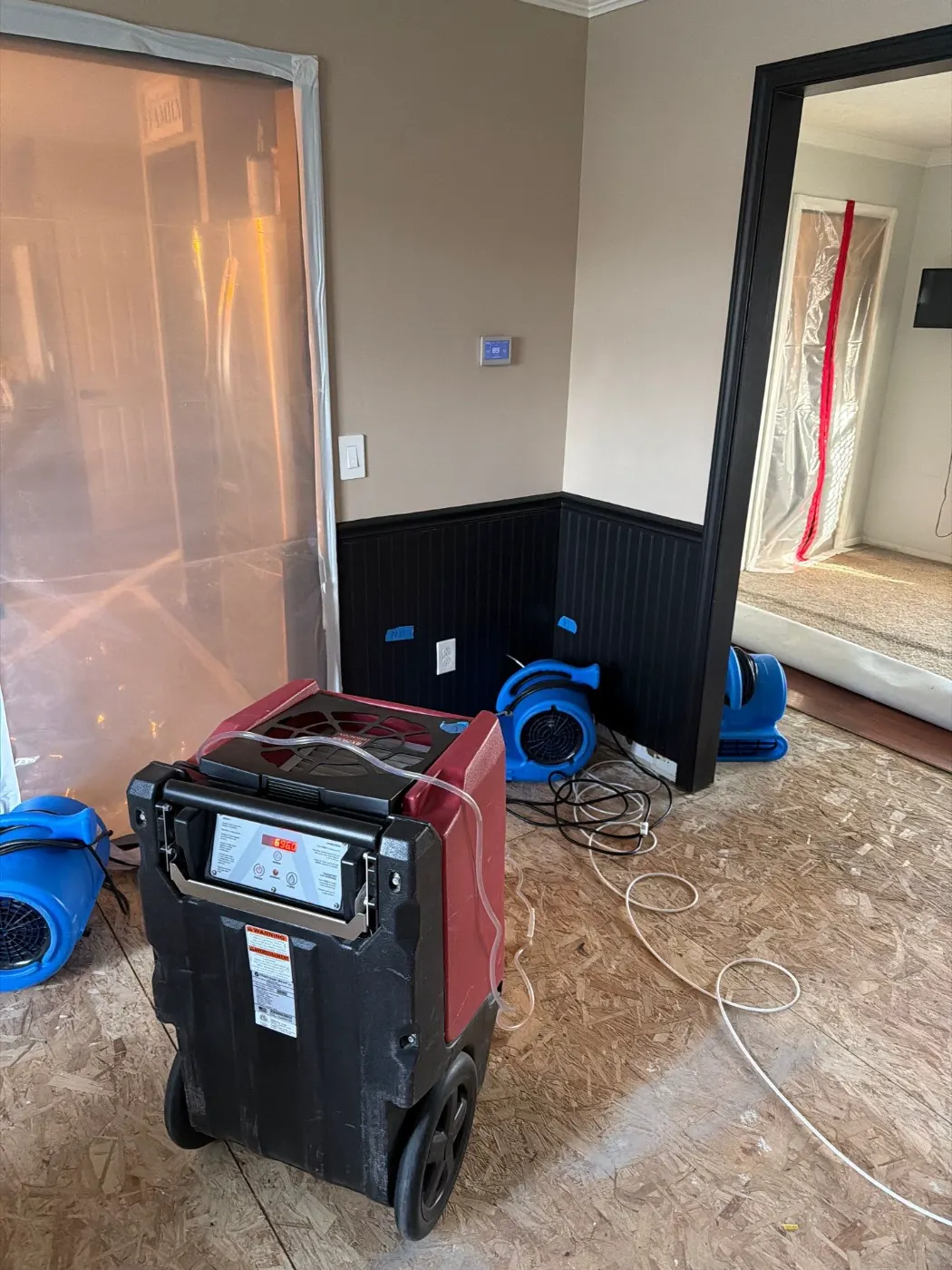 Carpet Water Damage in Bridgewater: Professional Drying Cost